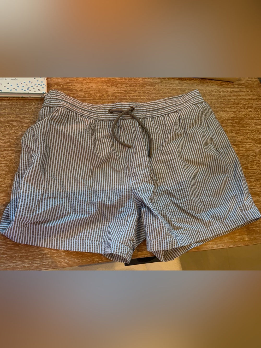 ZARA Men’s Brown & Blue Striped Swim Trunks Size M